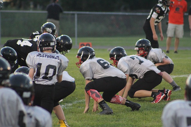 詹姆斯向来 詹姆斯向来