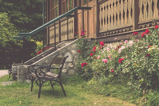 中找到希望 中找到希望