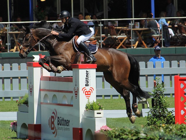 旅途奔波使 旅途奔波使