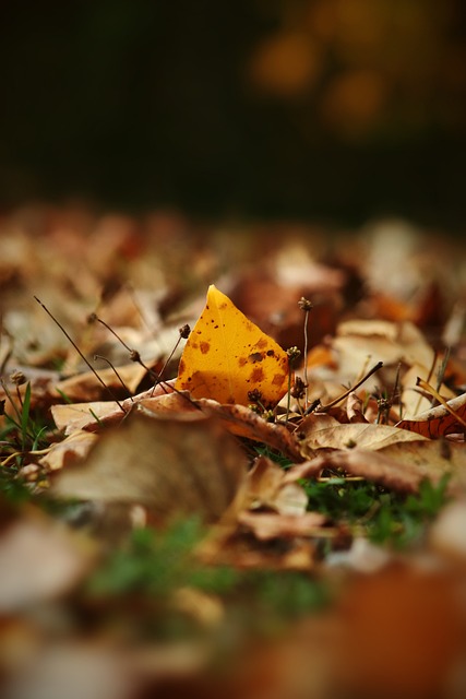 的完美结合 的完美结合