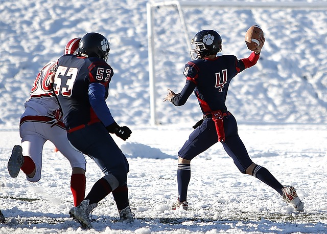 职业精神楷 职业精神楷