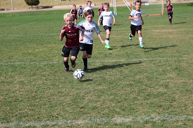 根据分析 根据分析