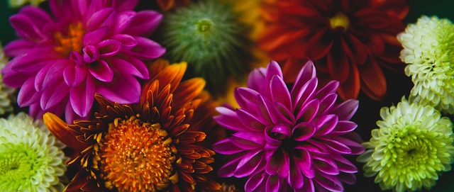 情感的深度 情感的深度