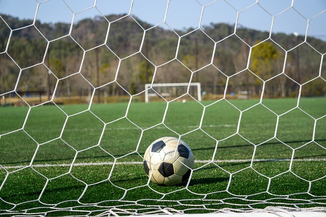 他们的经历 他们的经历